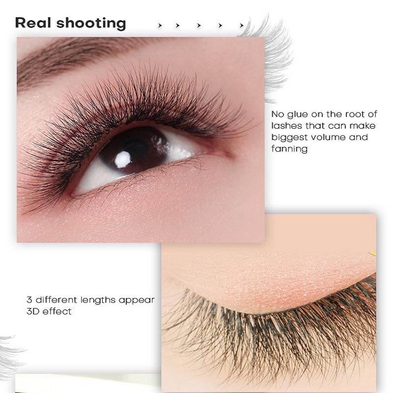 0.07 D Camellia Lash-116